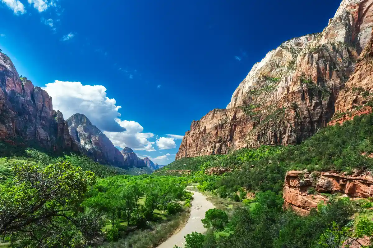 The Best National Parks in Malaysia for Nature Lovers