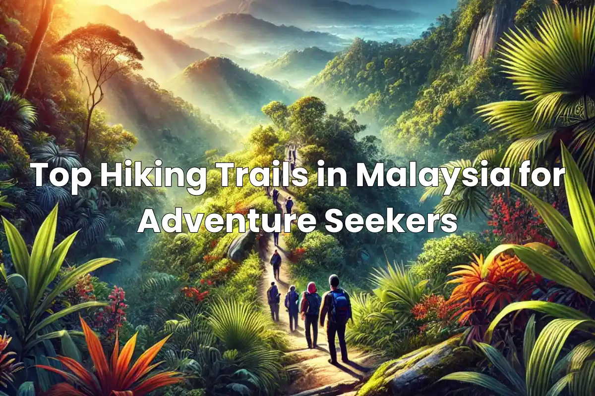 Top Hiking Trails in Malaysia for Adventure Seekers