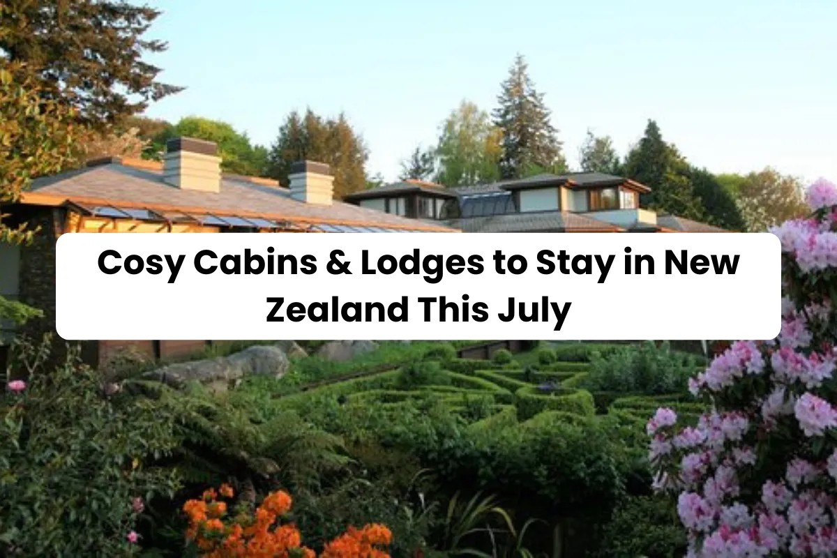 Cosy Cabins & Lodges to Stay in New Zealand This July