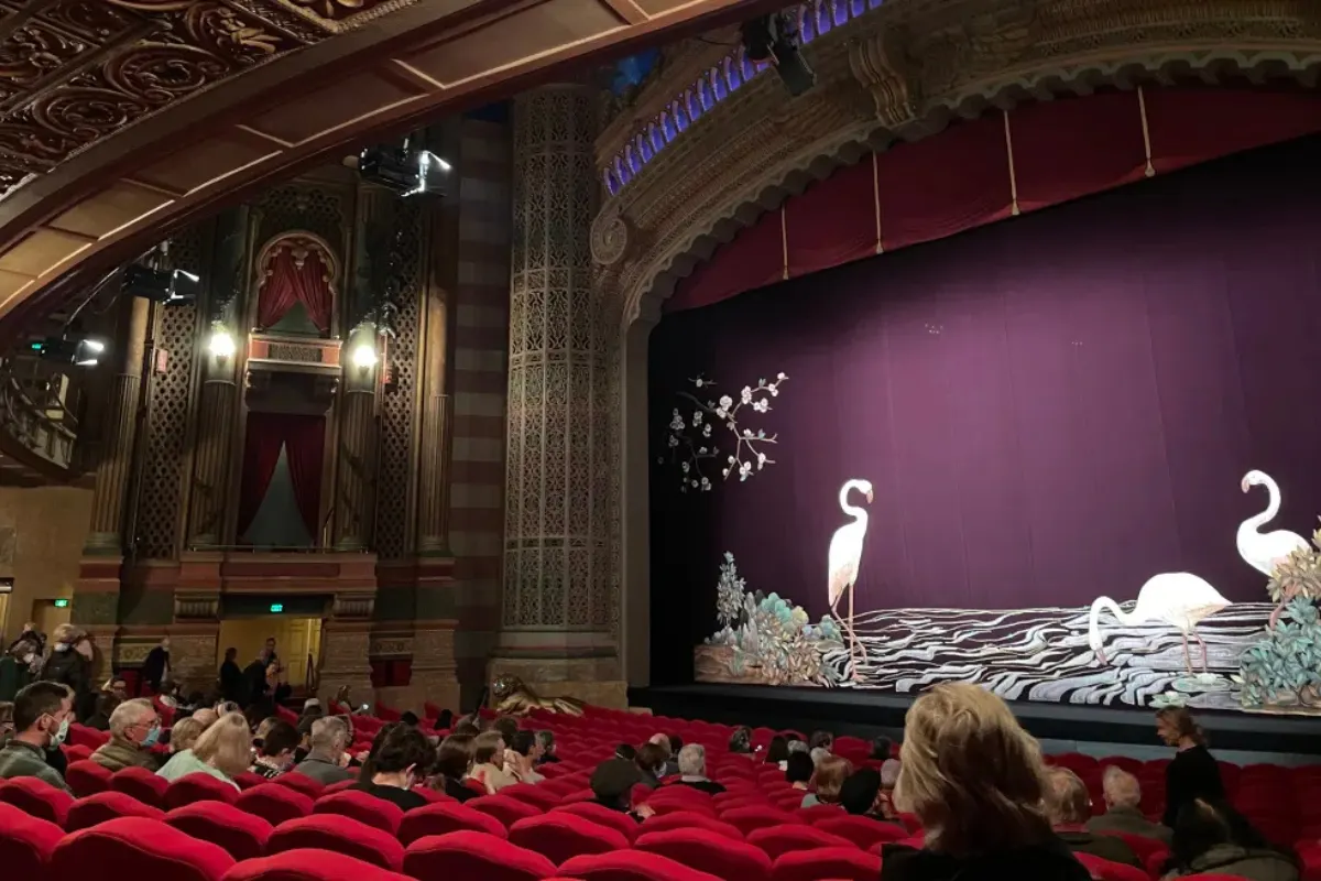 Why the New Zealand International Film Festival Is a Must-Visit for Film Lovers in 2025