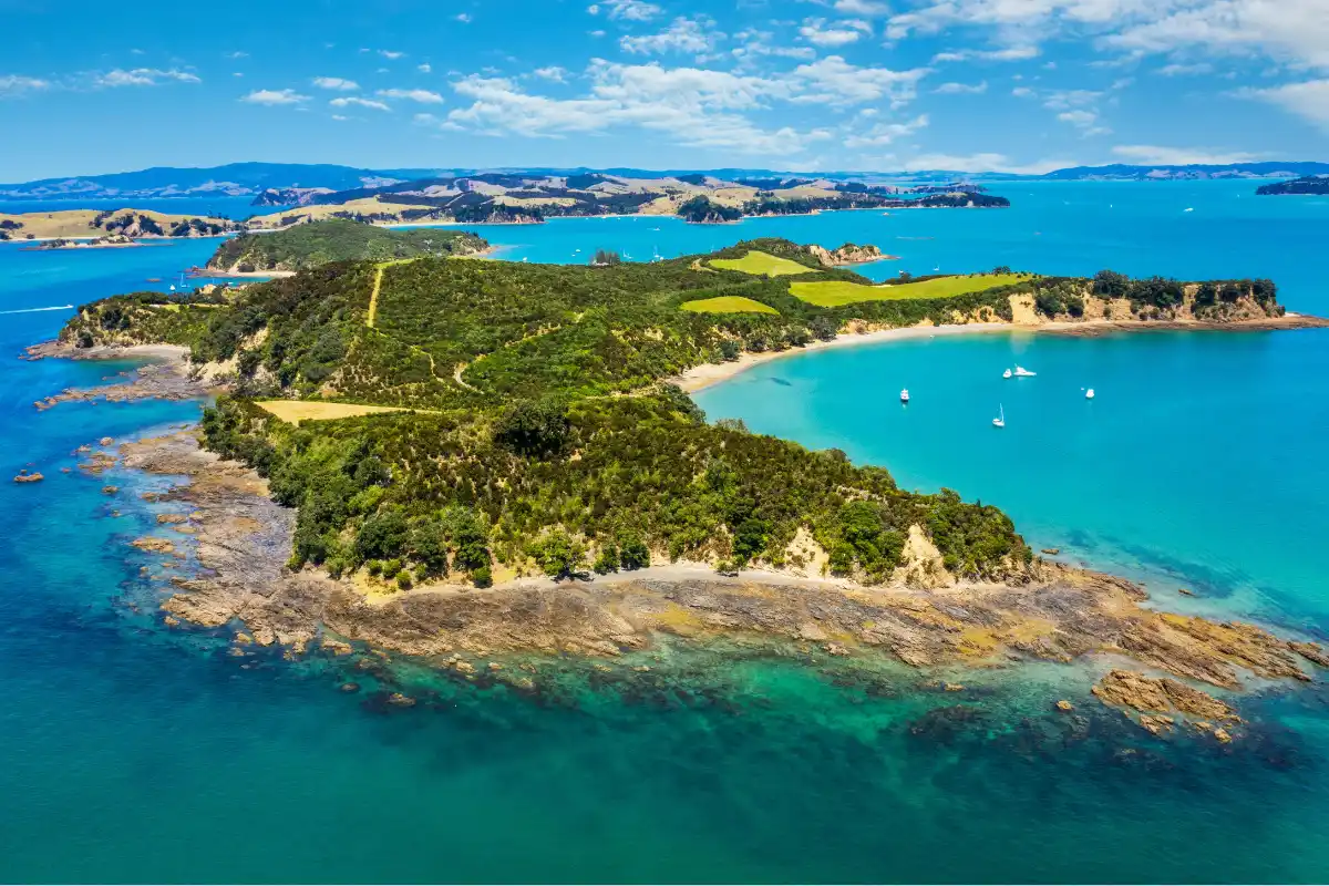 Winter Wonderland: Exploring New Zealand in August