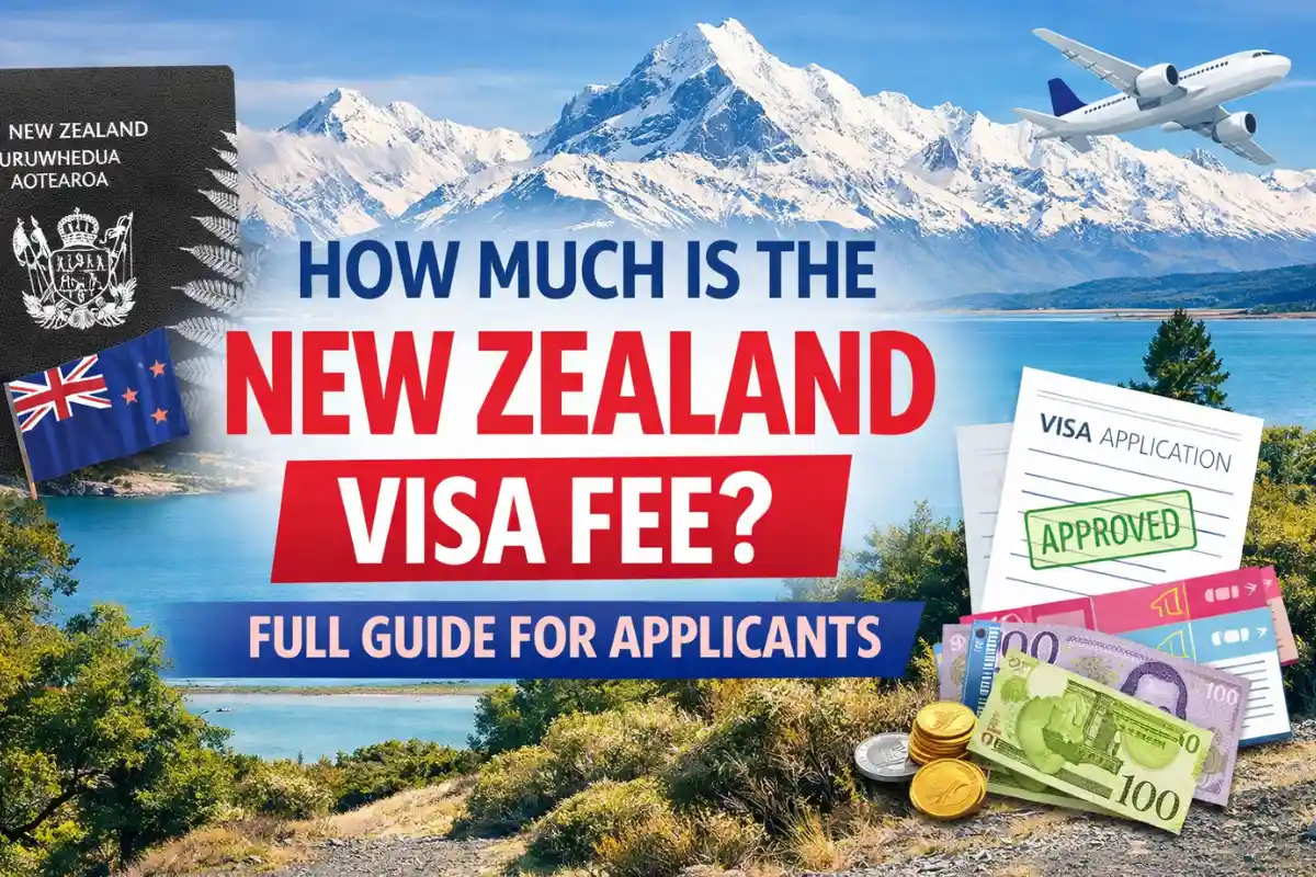 Stack of New Zealand travel documents and a calculator showing costs for visa fees